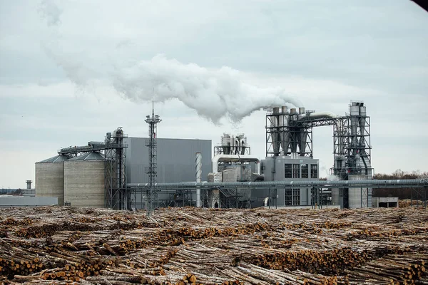 Magazijn Van Gevelde Bomen Fabriek Rookfabriekschoorstenen Vervuilen Atmosfeer Industriële Kraan — Stockfoto