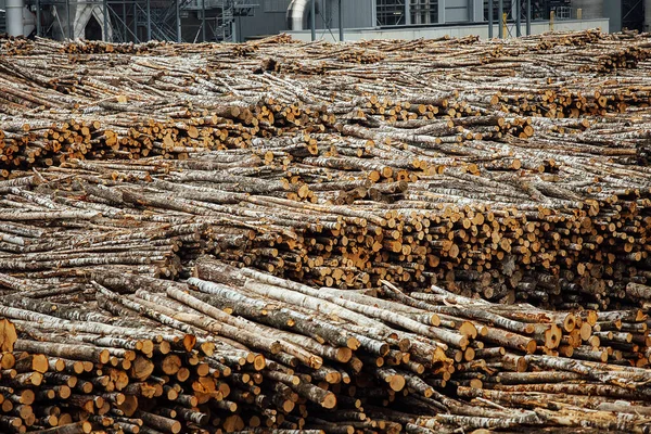 Fabrikadaki devrilmiş ağaçların deposu. Sigara fabrikası bacaları atmosferi kirletir. Endüstriyel vinç tahta hammaddeleri boşaltıyor