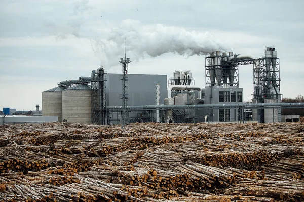 Magazijn Van Gevelde Bomen Fabriek Rookfabriekschoorstenen Vervuilen Atmosfeer Industriële Kraan — Stockfoto