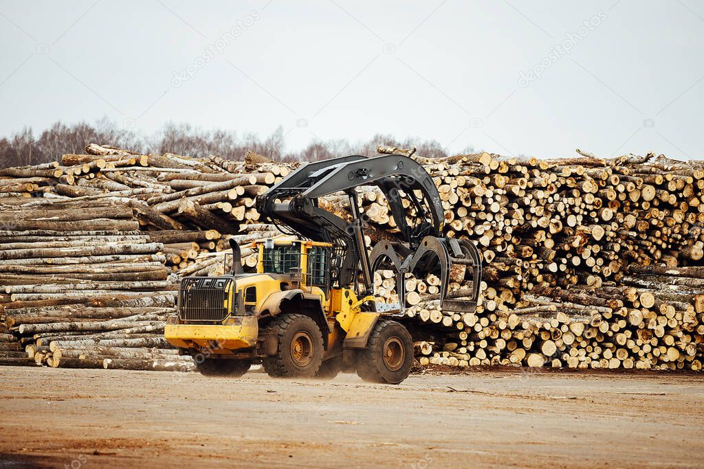 front loader for loading timber. an industrial tractor transports felled wood. wood processing plant. loading of timber to the warehouse