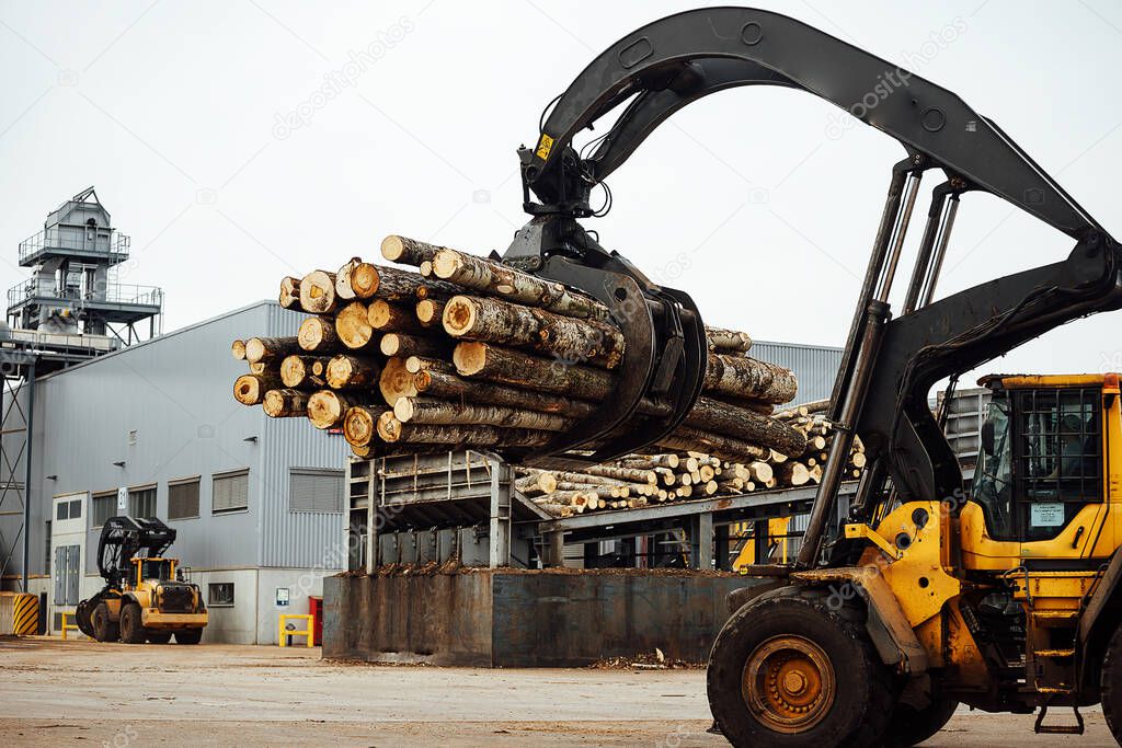 front loader for loading timber. an industrial tractor transports felled wood. wood processing plant. loading of timber to the warehouse