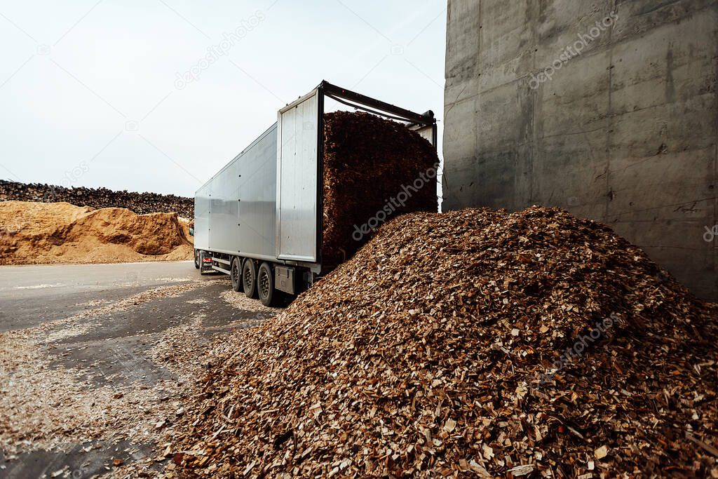 the truck unloads tons of wood waste. sawdust and shavings are stored for further processing. mountain of waste wood
