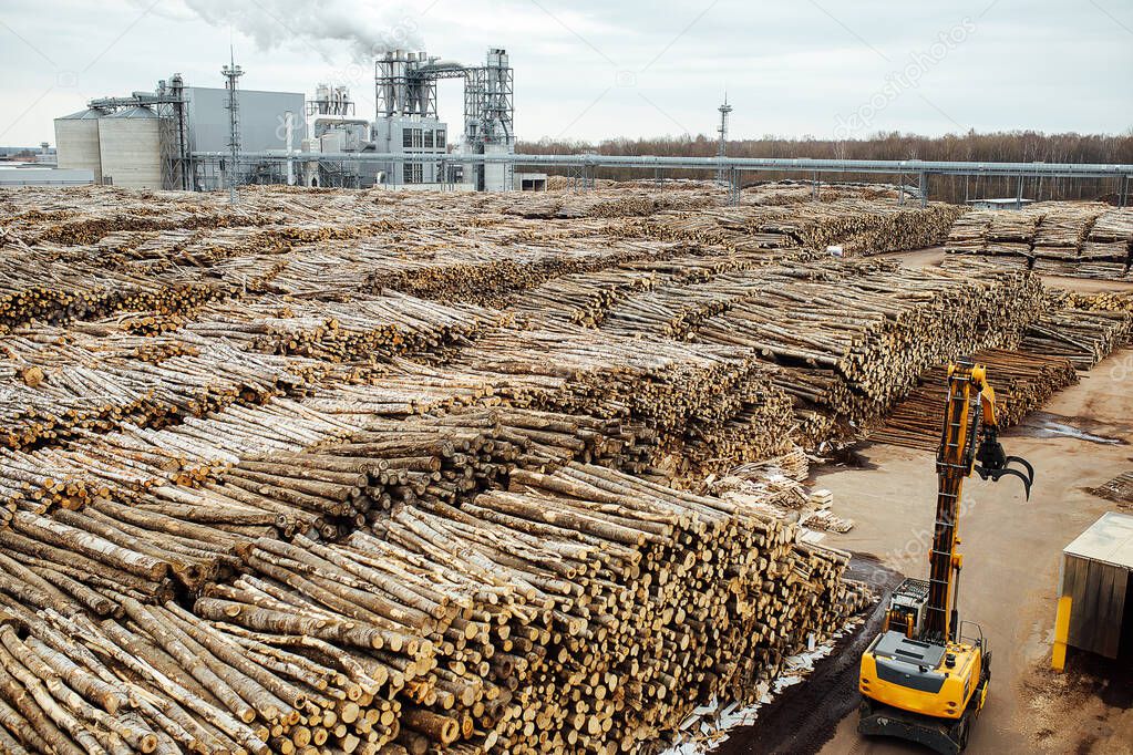 warehouse of felled trees at the factory. smoking factory chimneys pollute the atmosphere. industrial crane unloads wood raw materials