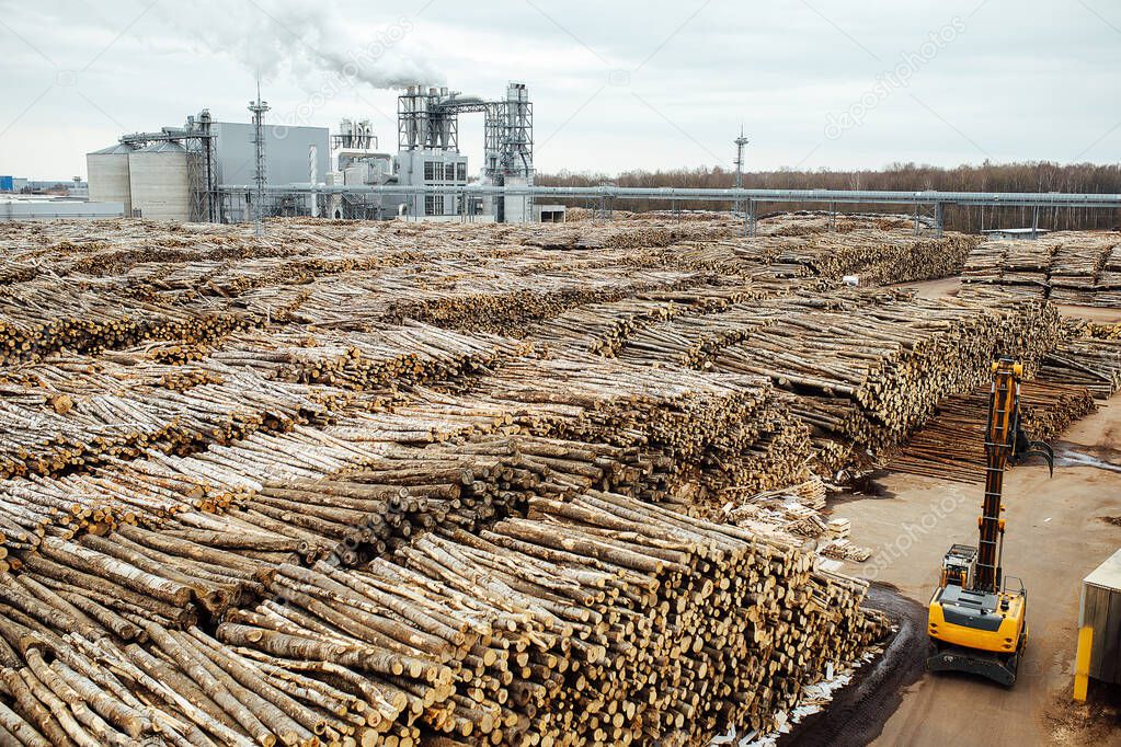 warehouse of felled trees at the factory. smoking factory chimneys pollute the atmosphere. industrial crane unloads wood raw materials