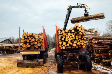 Vinç ağaçları dolduruyor. Kesilen ağaç gövdeleri taşıyıcının gövdesine yüklenir. Ahşap fabrikası için endüstriyel kargo