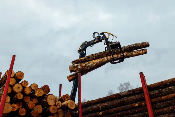 Kranen Lastar Träden Skurna Trädstammarna Lastas Transportörens Kropp Industrilast För — Stockfoto