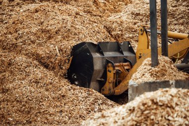 Kazıcı odun parçalarını yüklüyor. Taşıyıcının büyük kovası biyoyakıt ve ahşap gübre yüklüyor. Endüstriyel buldozer, hurdaları boşaltmakla meşgul