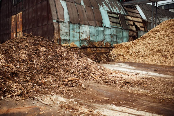 Montanhas Aparas Fábrica Resíduos Madeira São Armazenados Para Processamento Descarte — Fotografia de Stock