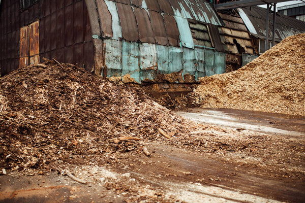 mountains of shavings at the factory. woodworking waste is stored for processing and disposal at the factory. biofuels from wood