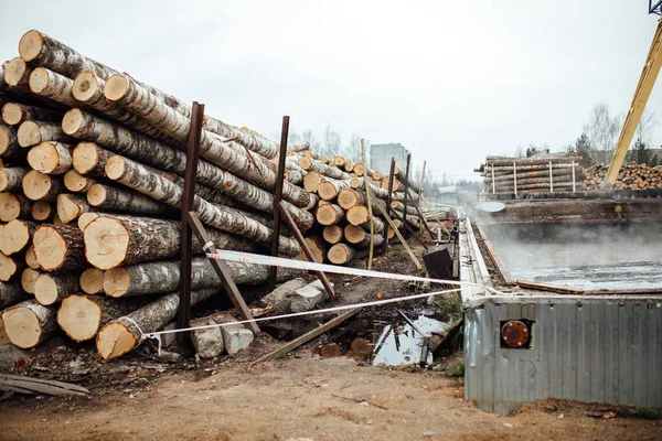 Armazém Uma Fábrica Carpintaria Feixes Toras Estão Armazenados Prontos Para — Fotografia de Stock