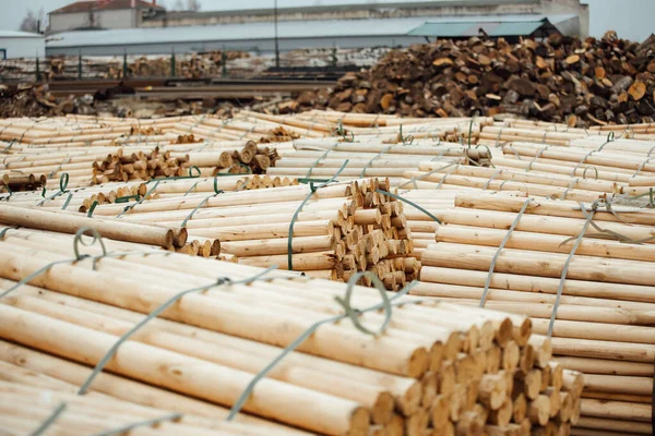 Armazém Uma Fábrica Carpintaria Feixes Toras Estão Armazenados Prontos Para — Fotografia de Stock