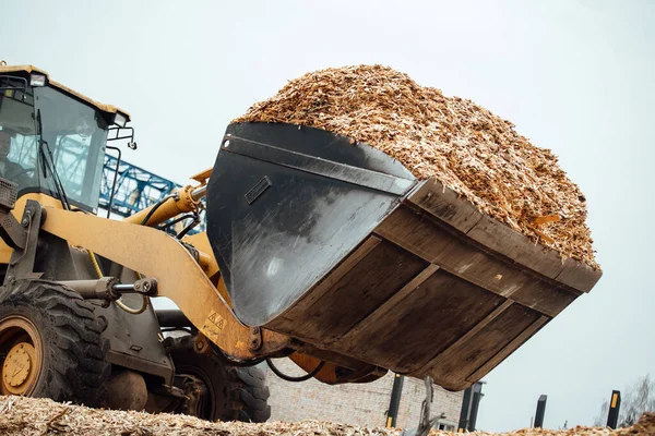 Excavator Loads Wood Chips Large Bucket Conveyor Loads Biofuels Wood — Stock Photo, Image