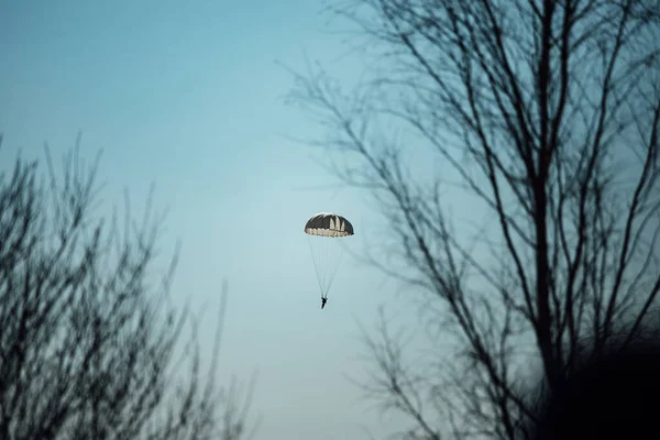 Silhouetten Von Zuschauern Vor Dem Hintergrund Von Landenden Fallschirmspringern Vorführungen — Stockfoto