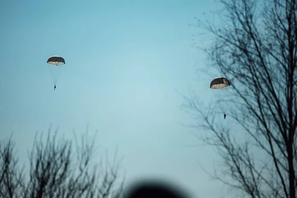 Silhouetten Van Toeschouwers Tegen Achtergrond Van Landingsparachutisten Demonstratieprestaties Van Skydivers — Stockfoto