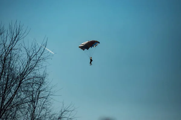 低高度のスカイダイバーが木の間に着陸する準備をしています 飛行機から飛び降りるという危険な極端なスポーツは — ストック写真