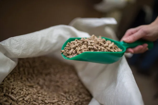 Embalaje Relleno Gato Para Inodoro Arena Piezas Madera Biológica Absorbiendo — Foto de Stock