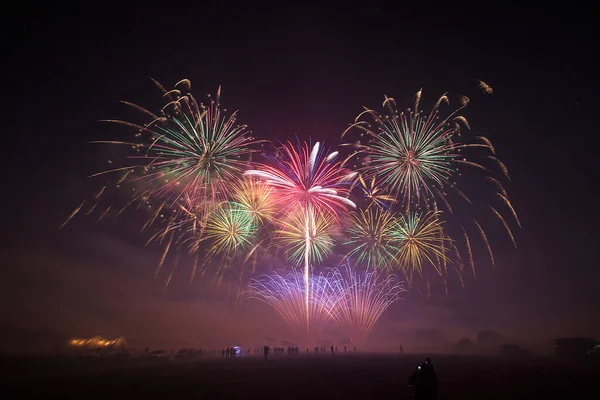 Een Menigte Van Mensen Kwam Naar Het Festival Een Festival — Stockfoto