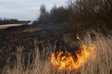 Rüzgarlı havada şiddetli bir orman yangını patlak verdi. Alevler orman ve tarlalardaki kuru otları yok etti. İlkbaharın başında itfaiyeyi çağırıp yangını söndürmesini istedi.
