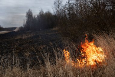 Rüzgarlı havada şiddetli bir orman yangını patlak verdi. Alevler orman ve tarlalardaki kuru otları yok etti. İlkbaharın başında itfaiyeyi çağırıp yangını söndürmesini istedi.