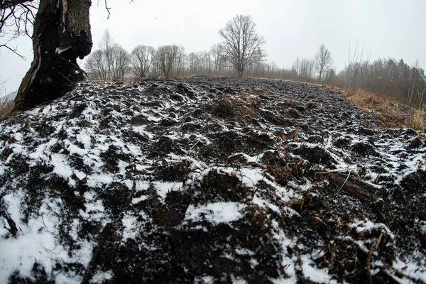 Asche Und Schnee Liegen Auf Dem Schwarz Verkohlten Boden Nach — Stockfoto