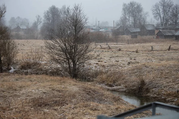 Wildbach Zeitigen Frühling Bei Trübem Wetter Schwacher Wasserfluss Zwischen Hohen — Stockfoto