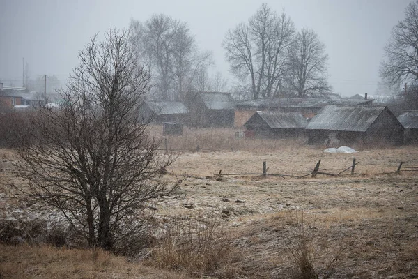 Wilde Beek Het Vroege Voorjaar Bij Bewolkt Weer Zwakke Waterstroom — Stockfoto