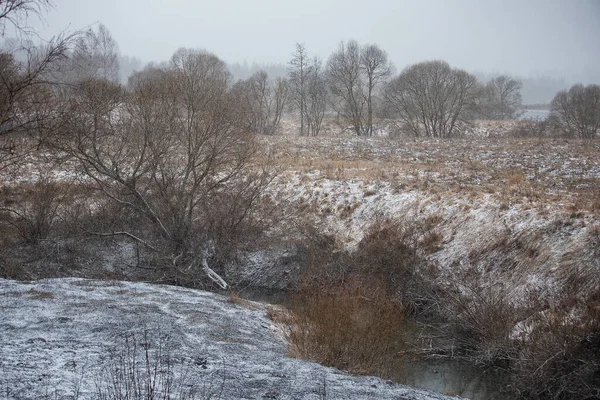 Ruisseau Sauvage Début Printemps Par Temps Nuageux Faible Débit Eau — Photo