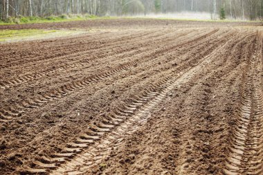 Bir traktör tarlayı sürüyor. tarım arazilerinin ekilmeye hazır hale getirilmesi. Mekanik bir saban toprağı çizer. Bereketli toprakların yetiştirilmesi