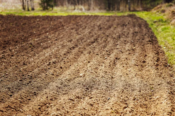 Trator Limpa Campo Preparação Terras Agrícolas Para Plantação Arado Mecânico — Fotografia de Stock