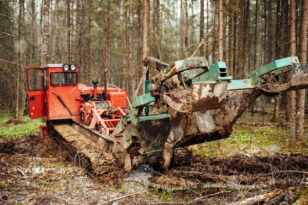 Bir sürüngen traktörü bir orman açıklığından geçiyor. Endüstriyel buldozer çamura saplanmış. Kamyonlar yerde kayıyor.