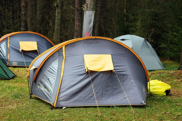 Toeristische Tenten Het Bos Een Groep Reizigers Zette Een Kamp Rechtenvrije Stockafbeeldingen