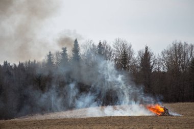 Kamp ateşi yüzünden bir insanın sebep olduğu bir yangın. Kuru otların üzerinde büyüyen bir alev. Doğal bir felaket. İtfaiyeciler duman ve sis içinde yangını söndürmeye çalışıyorlar.