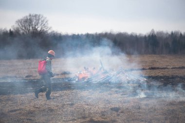 Sahada bir ateş şeridi. İtfaiye yangını yangın hortumundan çıkan suyla söndürüyor. Öfkeli ateş elementiyle savaşıyor. Orman yangınları yüzünden doğal afet