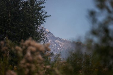 Bir kamyon çöplüğe tonlarca çöp atıyor. Zararlı atık sahalarında zehirli duman ve sis. Çevresel bir felaket. Çöplükte yanan çöpler.