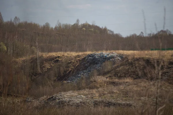 Eine Große Schar Möwen Fliegt Über Riesige Müllberge Auf Einer — Stockfoto