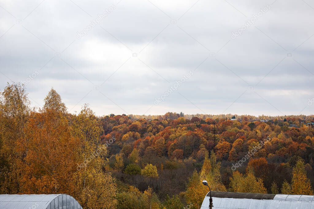 landscape of the forest in late autumn. view of a hilly forest with orange and yellow trees in the midst of leaf fall. a picturesque deserted national park