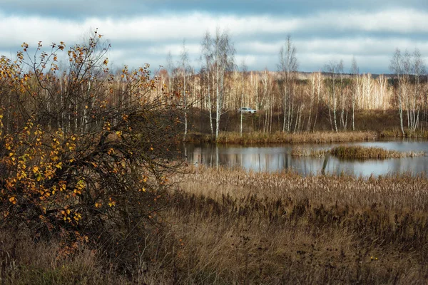 Herbstsee Ein Verlassenes Ufer Eines Mit Hohem Gras Bewachsenen Stausees — Stockfoto