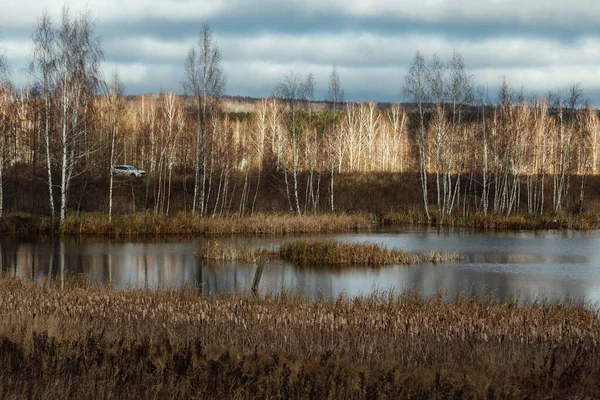 Herbstsee Ein Verlassenes Ufer Eines Mit Hohem Gras Bewachsenen Stausees — Stockfoto