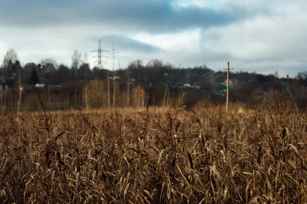 Kontamination Des Reservoirs Mit Giftmüll Ein Öliger Film Auf Der — Stockfoto