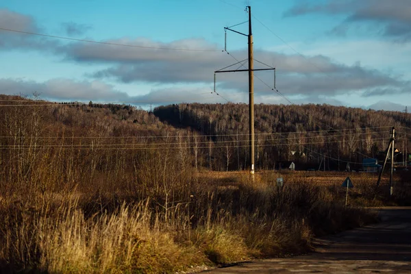 autumn industrial landscape. forest in the period of leaf fall and abandoned industrial buildings. power lines in the suburbs. workshops of the old factory