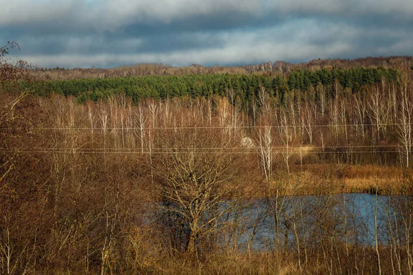 autumn industrial landscape. forest in the period of leaf fall and abandoned industrial buildings. power lines in the suburbs. workshops of the old factory