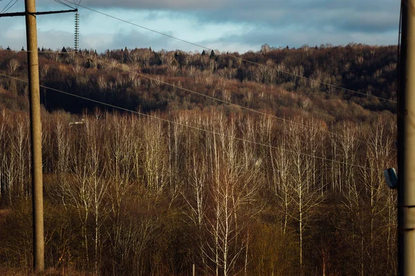 Industrielandschaft Herbst Wald Der Zeit Des Laubfalls Und Verlassene Industriebauten — Stockfoto