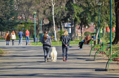 Köpeği gezdiriyorum.