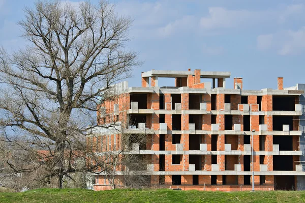 Construcción de edificios y árboles — Foto de Stock