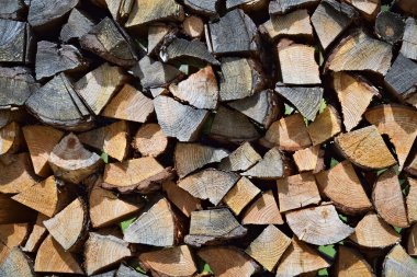 Sawed ahşap parçaları