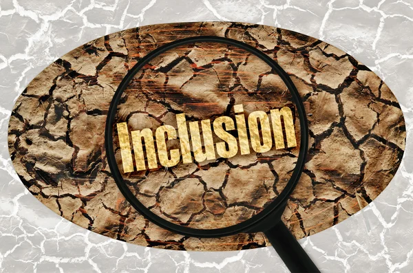 Inclusion — Stock Photo, Image