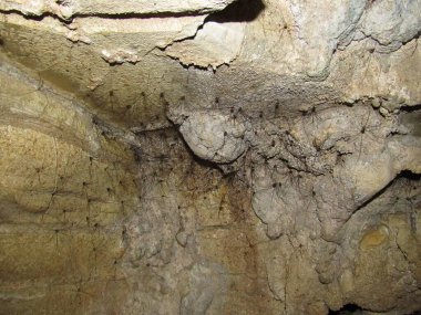 Mağaradaki örümcek kümesi.