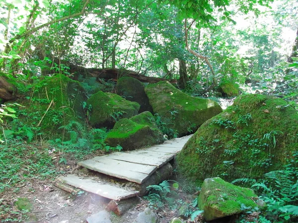 Puente Madera Transición Entre Las Rocas Cubiertas Musgo —  Fotos de Stock