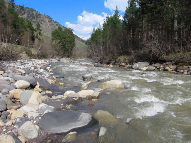 Elbrus bölgesindeki temiz dağ nehri