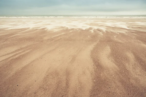 Sand dunes on North Sea — Stock Photo, Image